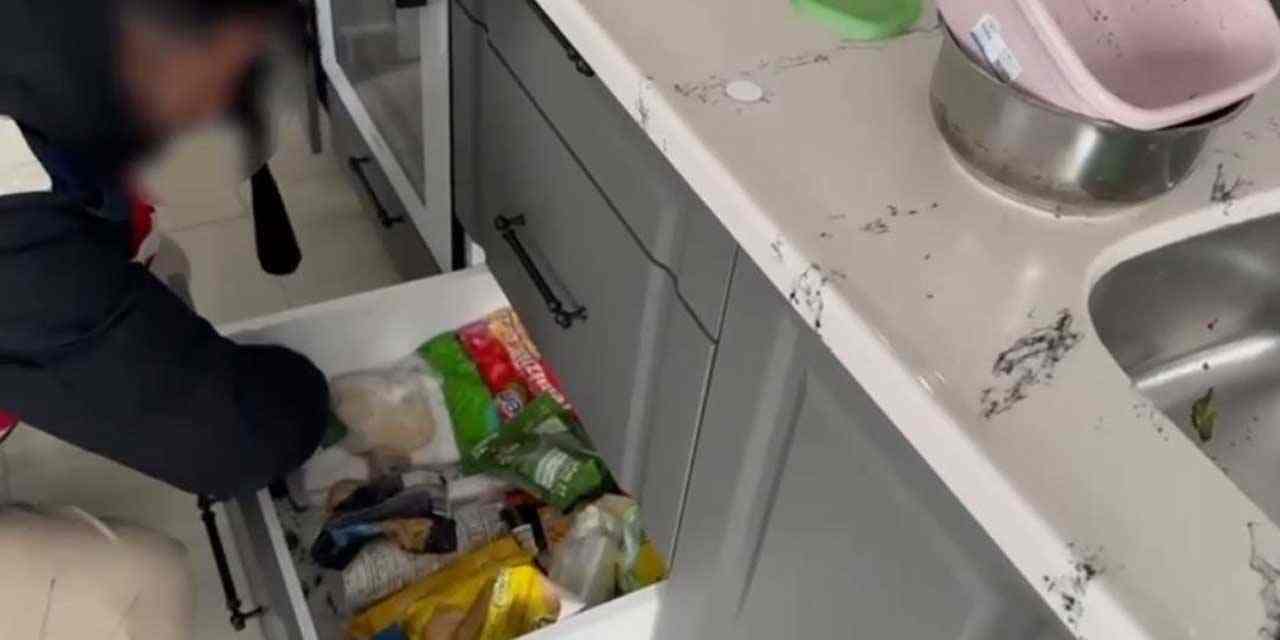 Kars'ta mutfak da tarihi eser yakalatan 2 şüpheli jandarma ekiplerince yakalandı