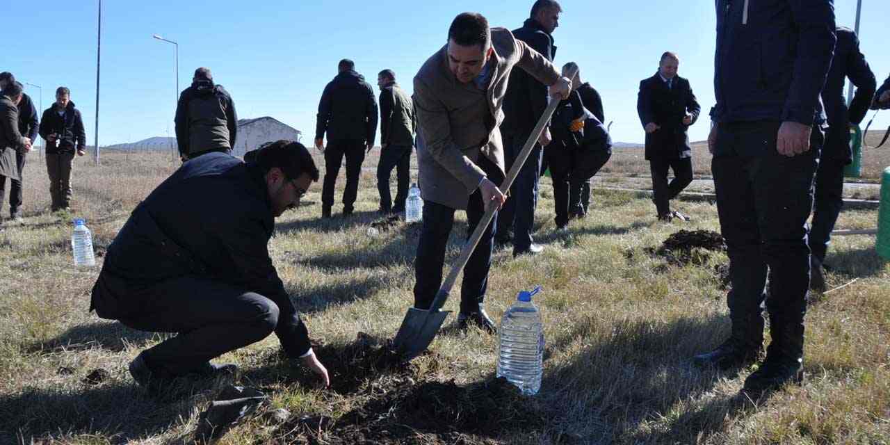 Kars'ta 600 fidan toprakla buluşturuldu