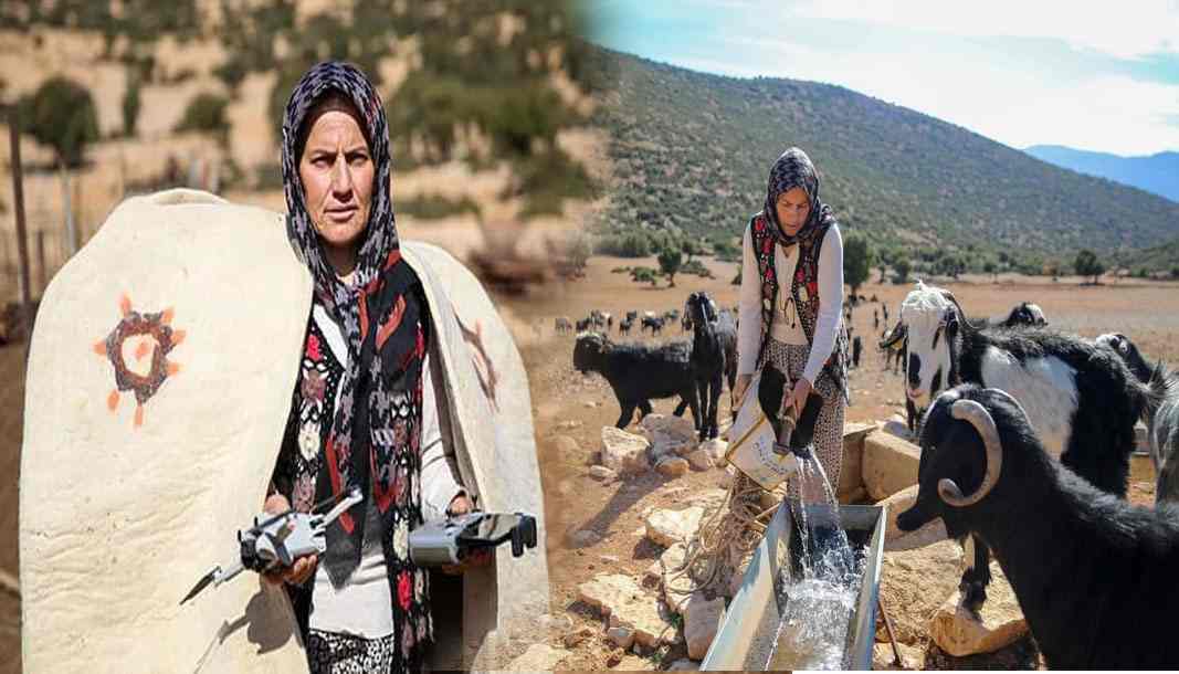 Elmalı'lı çoban Kamile davarını dronla güdüyor