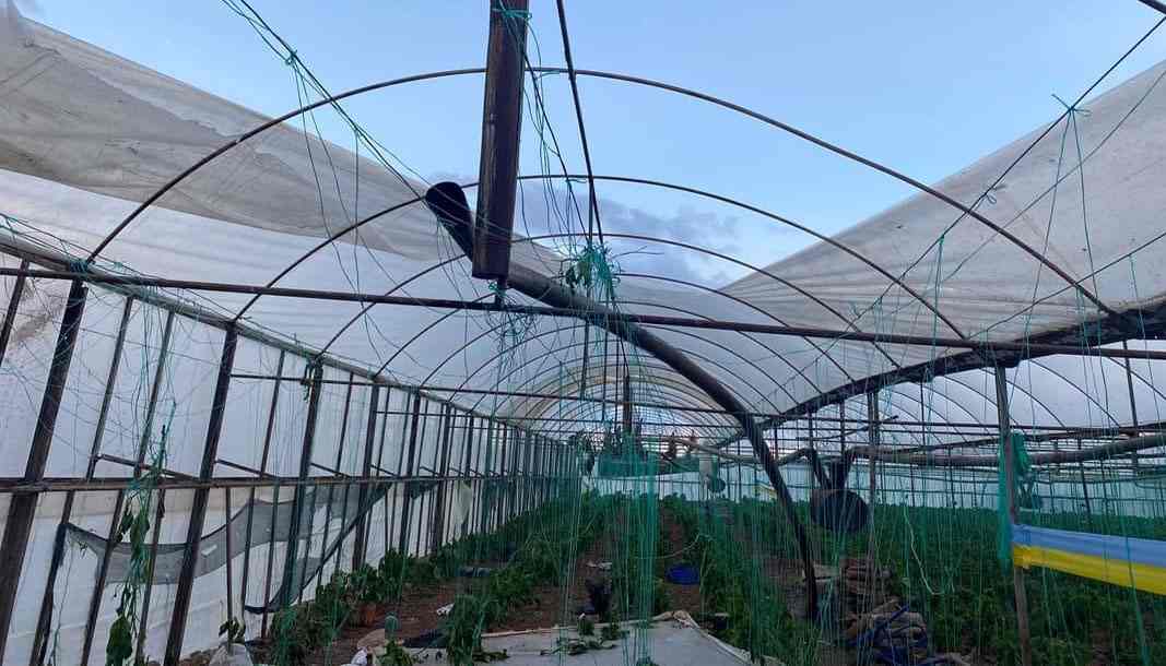 Antalya Aksu'da hortum seralara zarar verdi