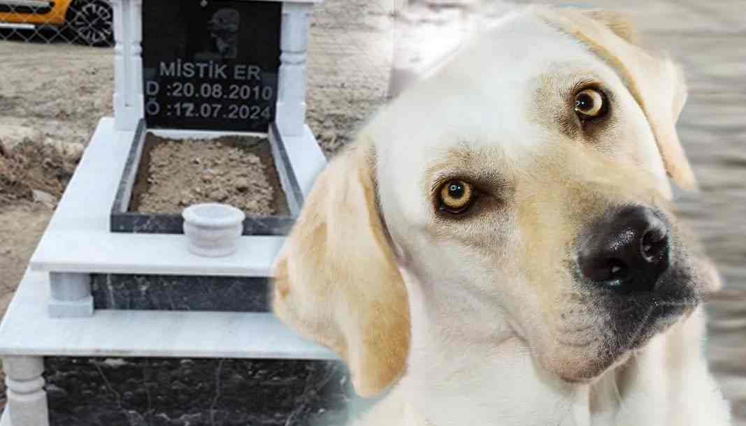 Isparta'da ölen köpeği için lüks mezarlık yaptırdı