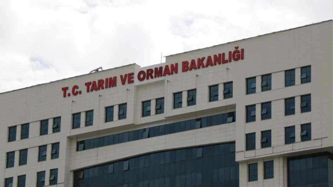 Bakanlık duyurdu: Konya'da kuş gribi vakası!