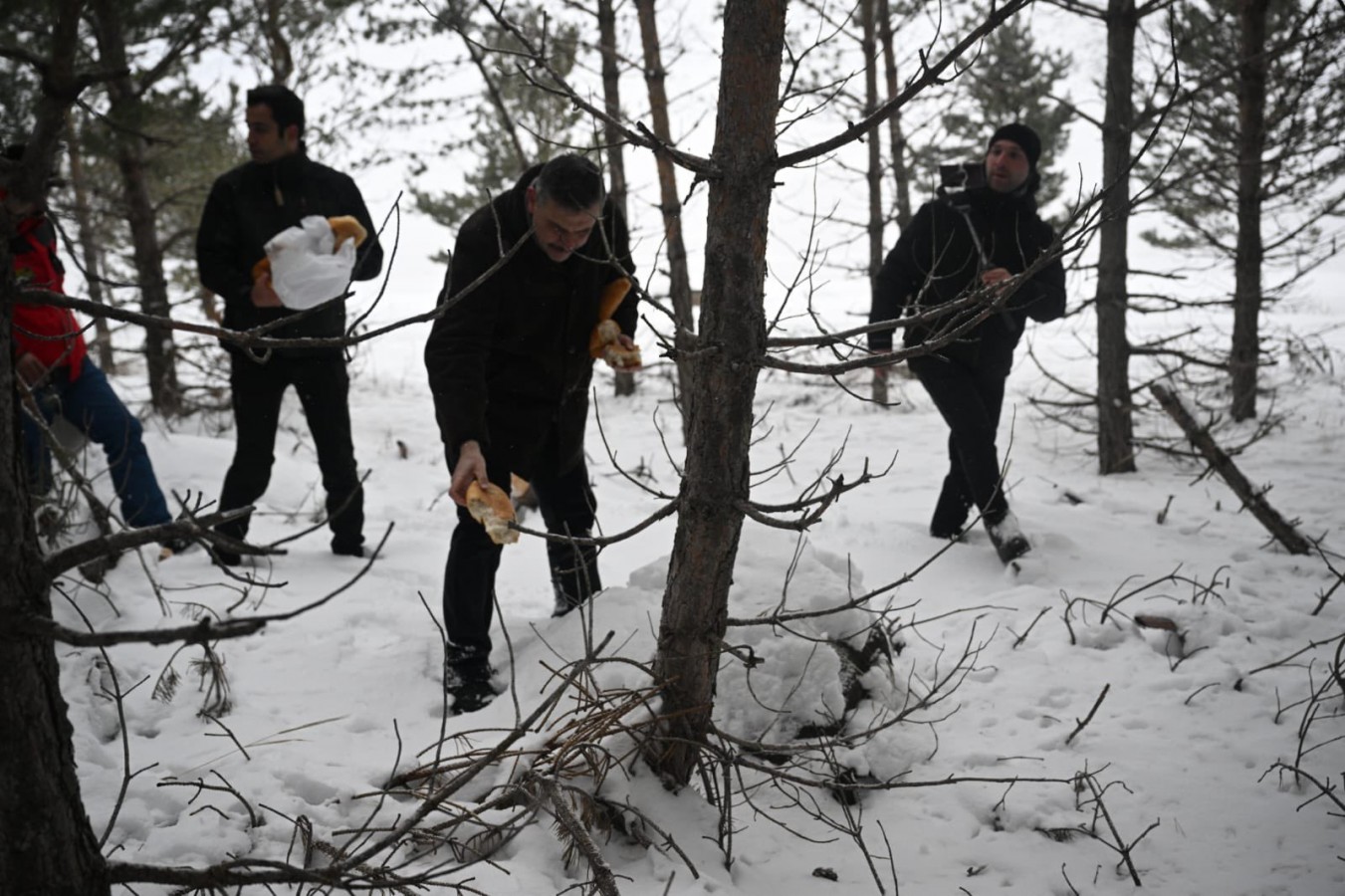Vali Çiftçi, yaban hayvanları için doğaya yem bıraktı