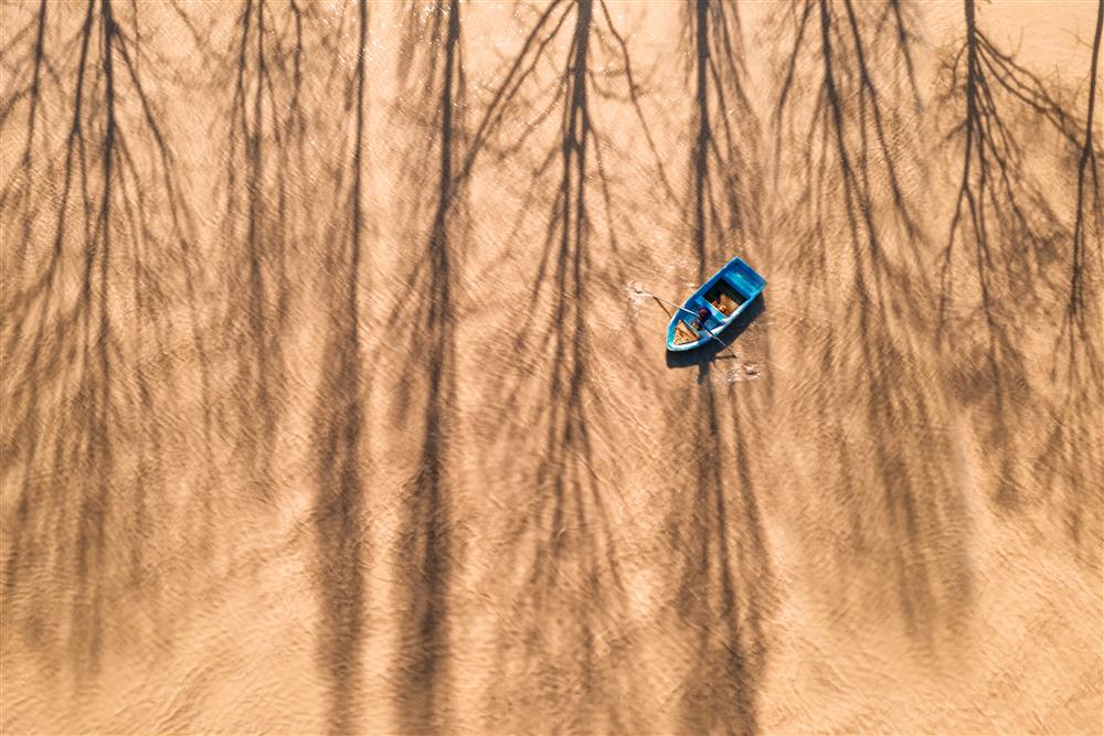 21'inci Devlet Fotoğraf Yarışması sonuçlandı