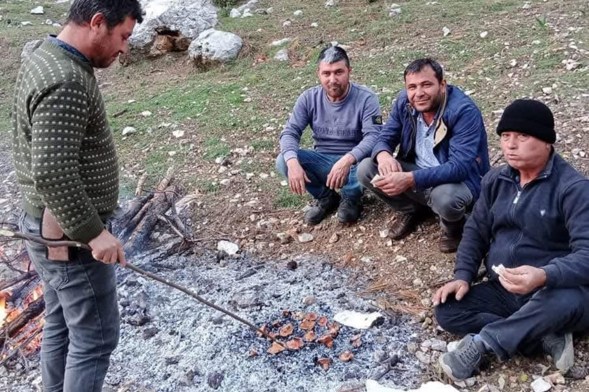 Serik’te mantar tutkunları bu yıl aradığını bulamadım