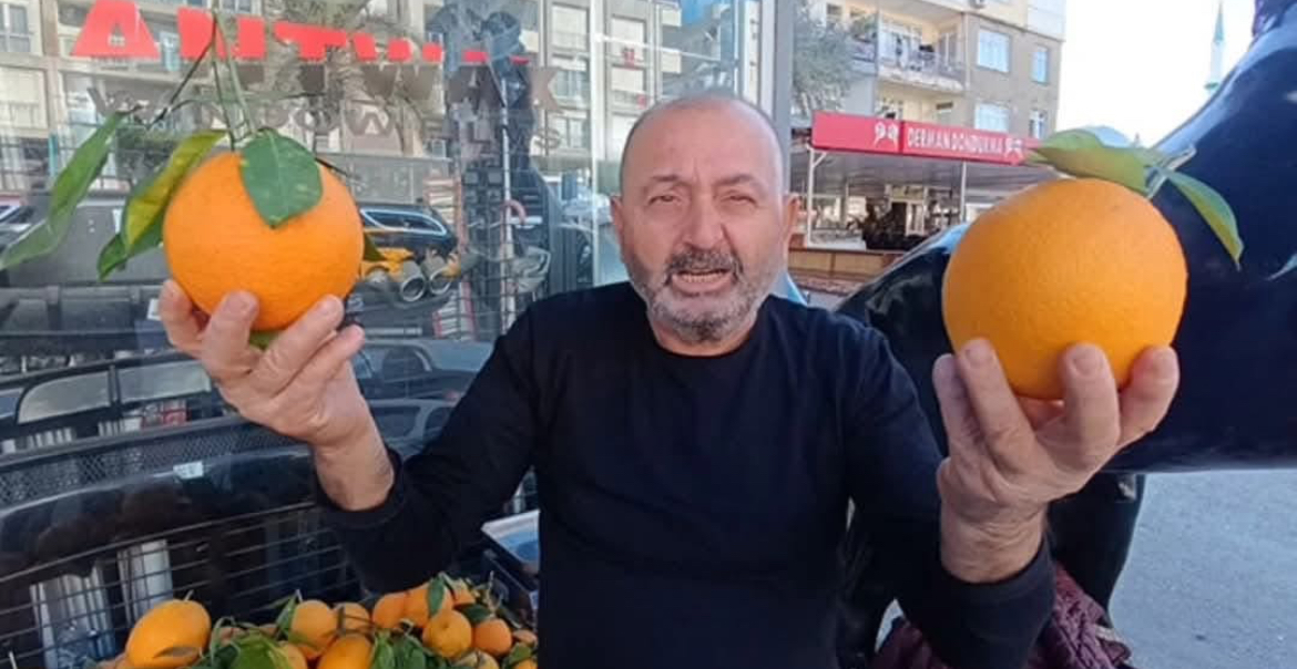Antalya'nın dev portakalları: 3 tanesi 2 kilo geliyor