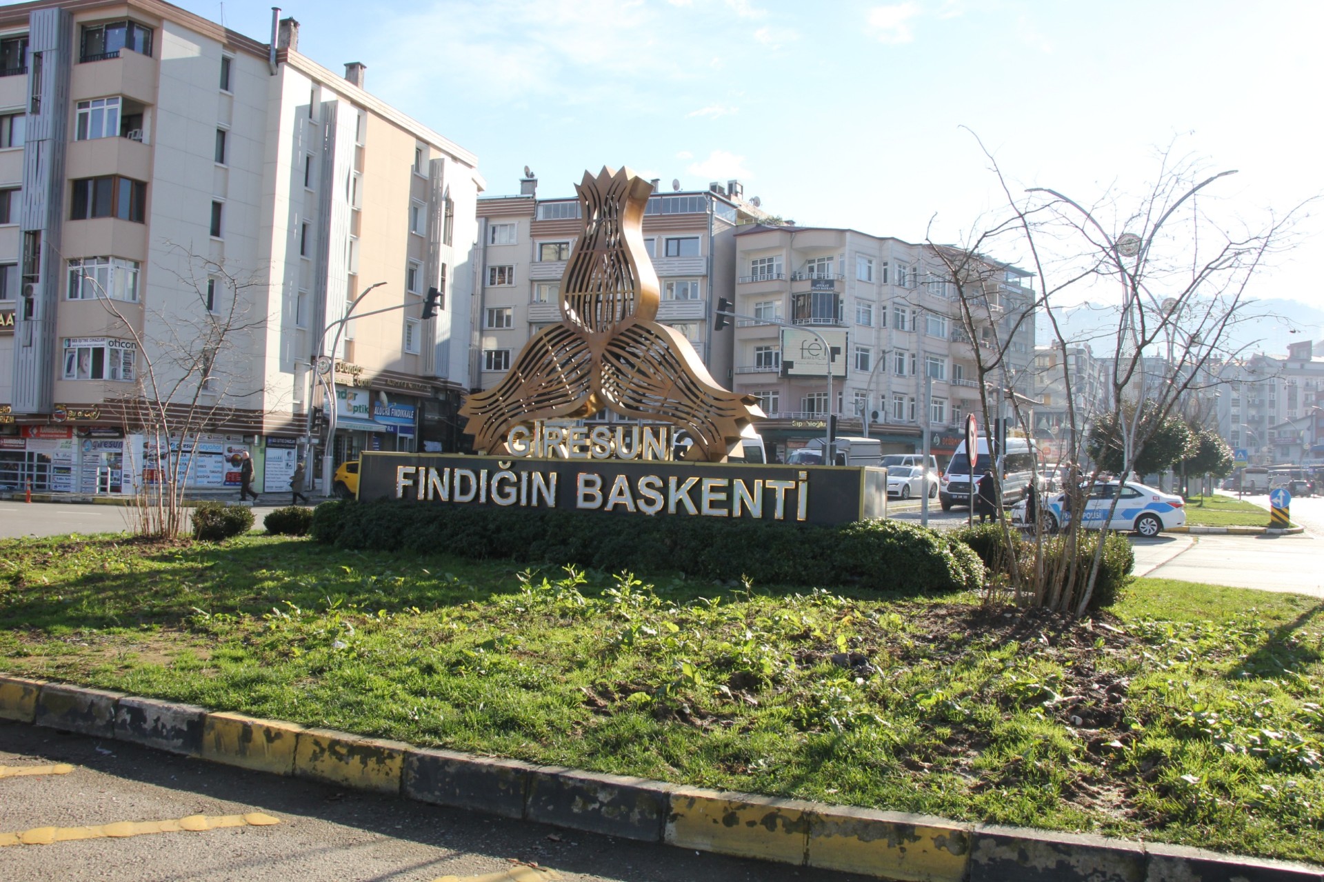 Giresun'da kavşak park yollarına fındık dikiliyor