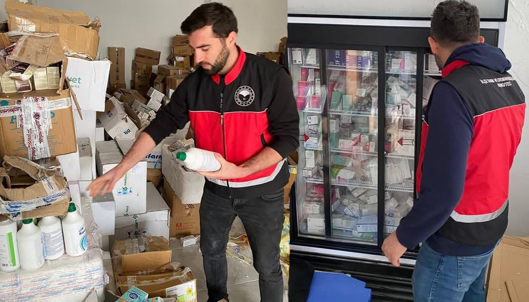 Antalya'da kaçak veteriner operasyonu